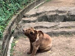 -南宁市动物园