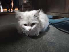 -长安大学(北校区)