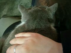 -MIKAKU(万达广场上海宝山店)