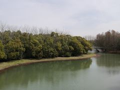 -上海海湾国家森林公园