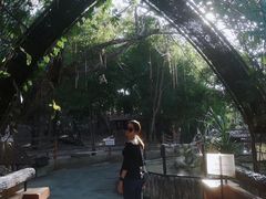 -清迈夜间动物园