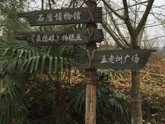 -千年银杏谷文化旅游区
