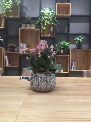 点击看大图 -Air Plus 美发沙龙