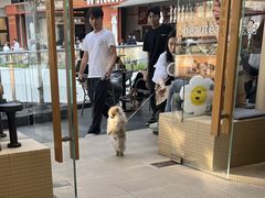 -BeauTea水仙(coco park店)