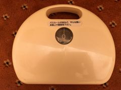 -京都全日空皇冠假日酒店