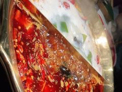 -九鼎轩脆毛肚火锅(三钢里店)