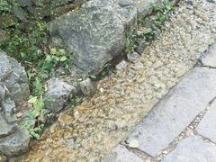 -井塘古村