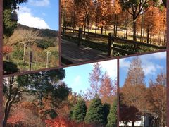 -上海黄浦旅游集散站售票处