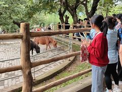 -西安秦岭野生动物园