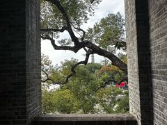 -江心屿景区