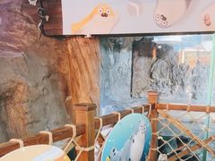 -海合安青岛极地海洋公园