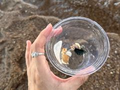 -演武大桥观景平台