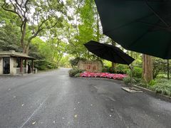 -浙江西子宾馆·牡丹厅