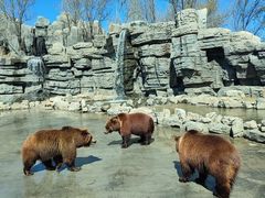 -北京野生动物园