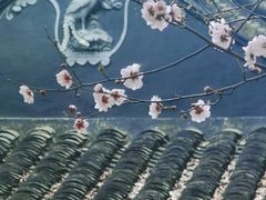 -香雪海