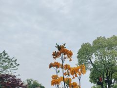 -呼吸森林·生态农庄农家乐私房菜