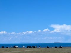 -青海湖国家重点风景名胜区