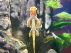 -常州海昌海洋探索馆