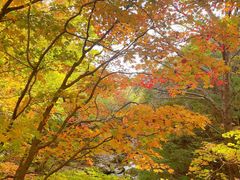 -本溪老边沟风景区