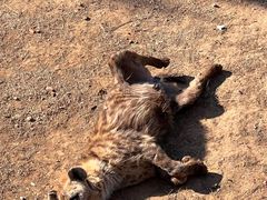 -济南野生动物世界