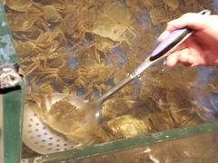 -甄品麦哲伦海鲜和牛自助(万达广场店)