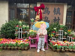 -乌村
