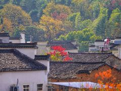-塔川景区