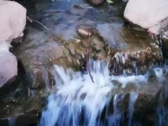 -小绿谷公园