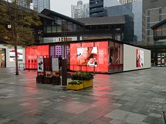 -Apple零售店(成都太古里店)