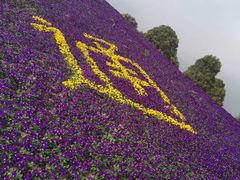 -南通洲际绿博园