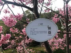 -狐尾山公园