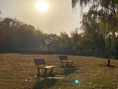 -东华大学(松江校区)