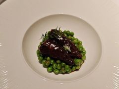 -觀芷隐轩