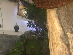 -丽江庭院之丽江往事(安定门店)