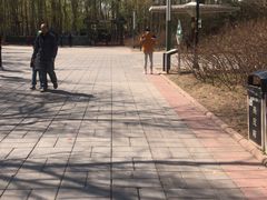 -朝阳公园真人CS