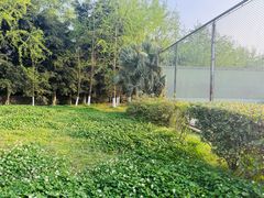 -成都高新创新角度网球俱乐部