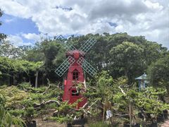 -小马牛肉面·牛骨熬制(南京博物院店)