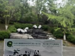 -都江堰中华大熊猫苑