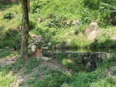 -杭州野生动物世界