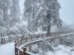 -瓦屋山景区