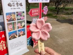 -香雪海