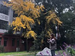 -四川大学(望江校区)