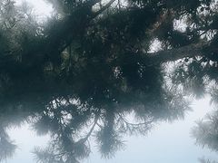-栈桥景区