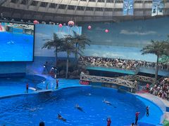 -海合安成都极地海洋公园
