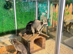 -常州海昌海洋探索馆