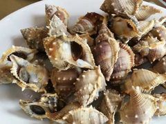 白灼海螺-哈味食店(外伶仃岛店)
