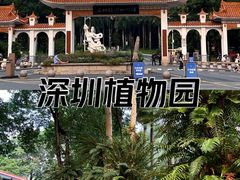 -深圳仙湖植物园