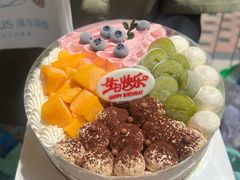 -维尔纳斯·生日蛋糕动物奶油冰淇淋蛋糕(人大店)