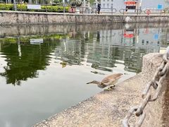 -石炮台公园