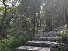 -佛慧山